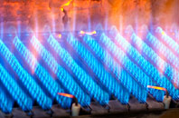 Halton Lea Gate gas fired boilers